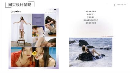 溫州大學美術與設計學院2018級視覺傳達設計專業《品牌設計